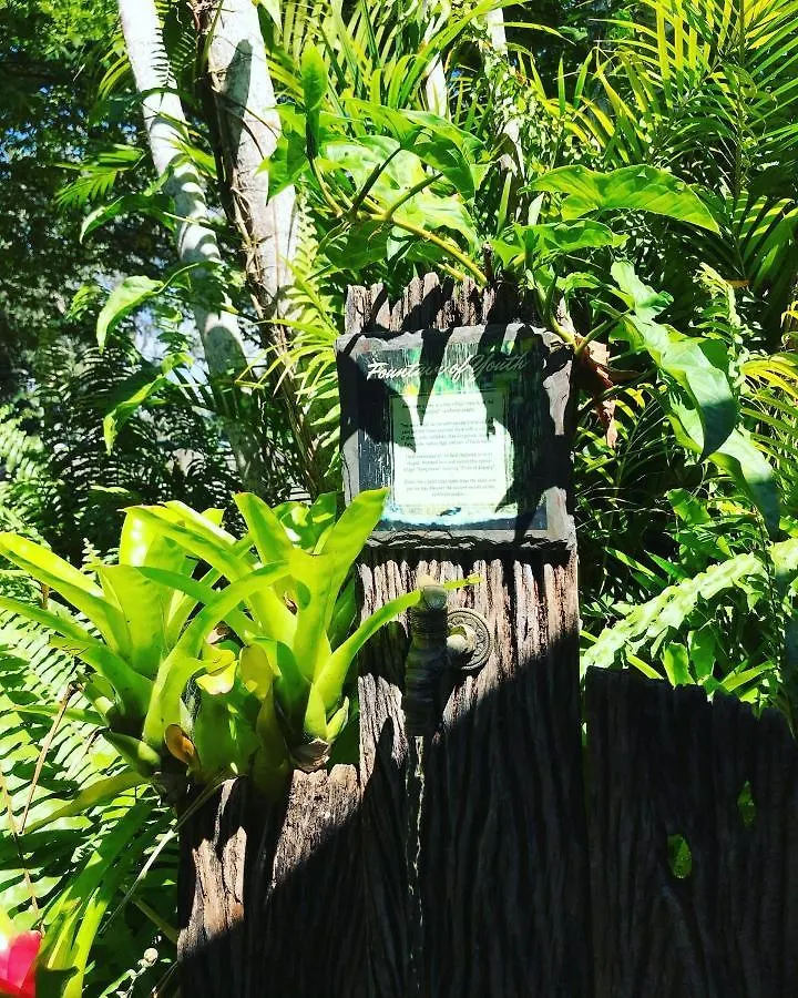 On The Wallaby Eco Lodge Yungaburra